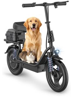 electric bicycle