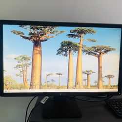 24" DELL Monitor