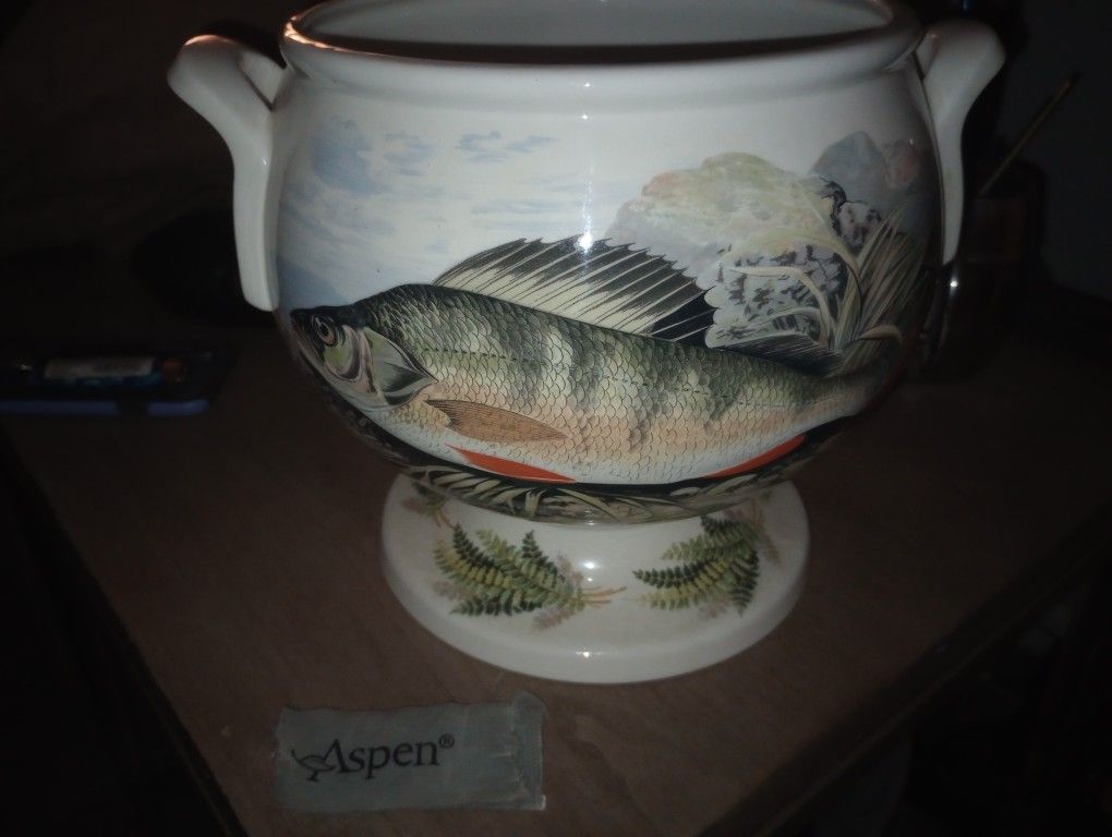 No 6 Comforts Anglier British Fishers