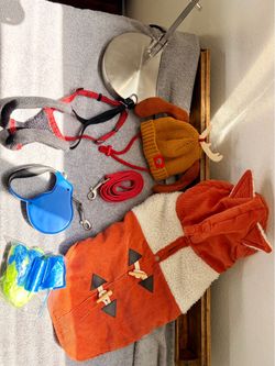 Dog leash and accessories