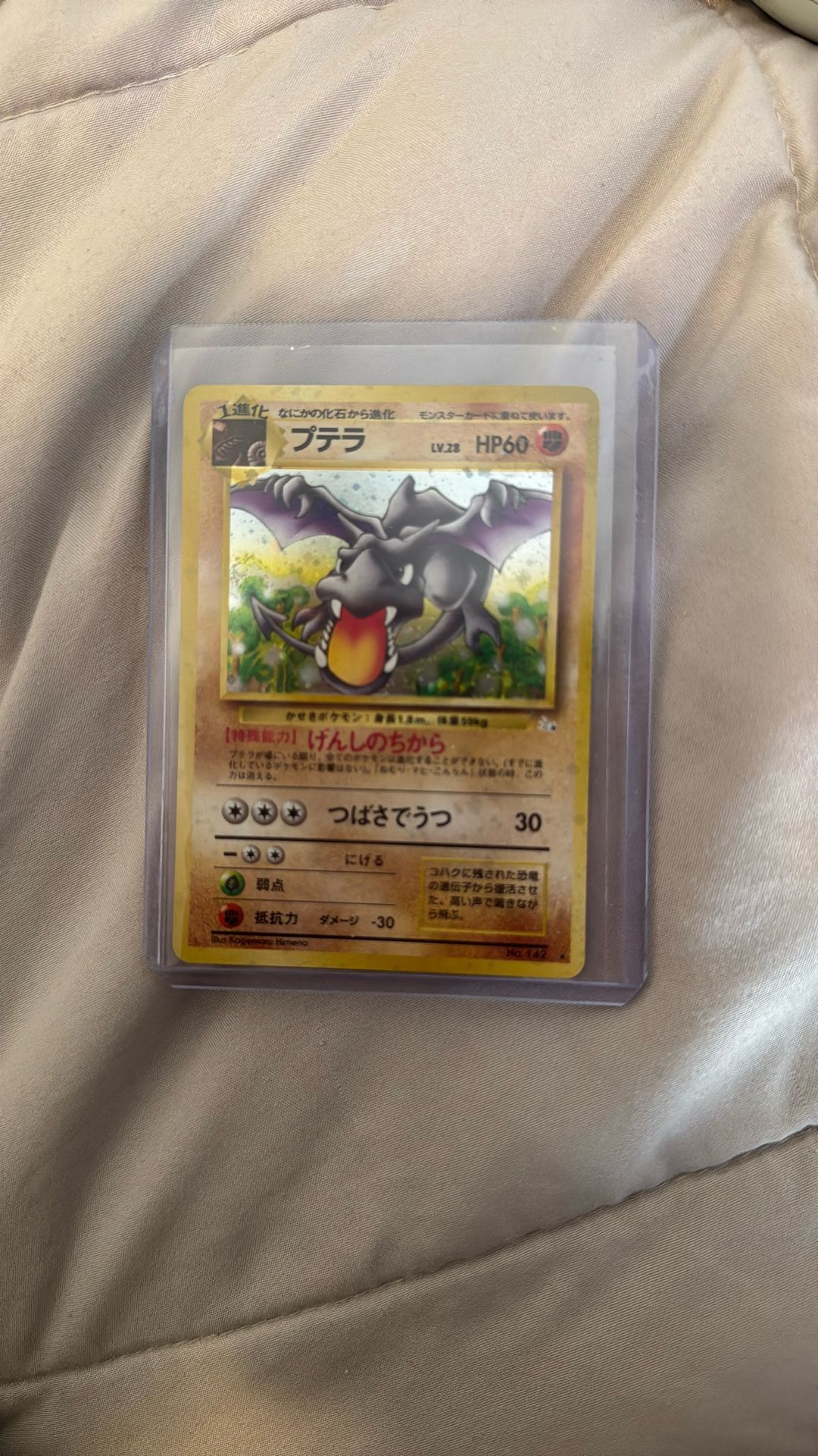 Japan Aerodactyl