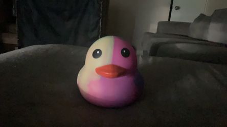 Squeezy duck