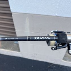 Daiwa Fishing Rod