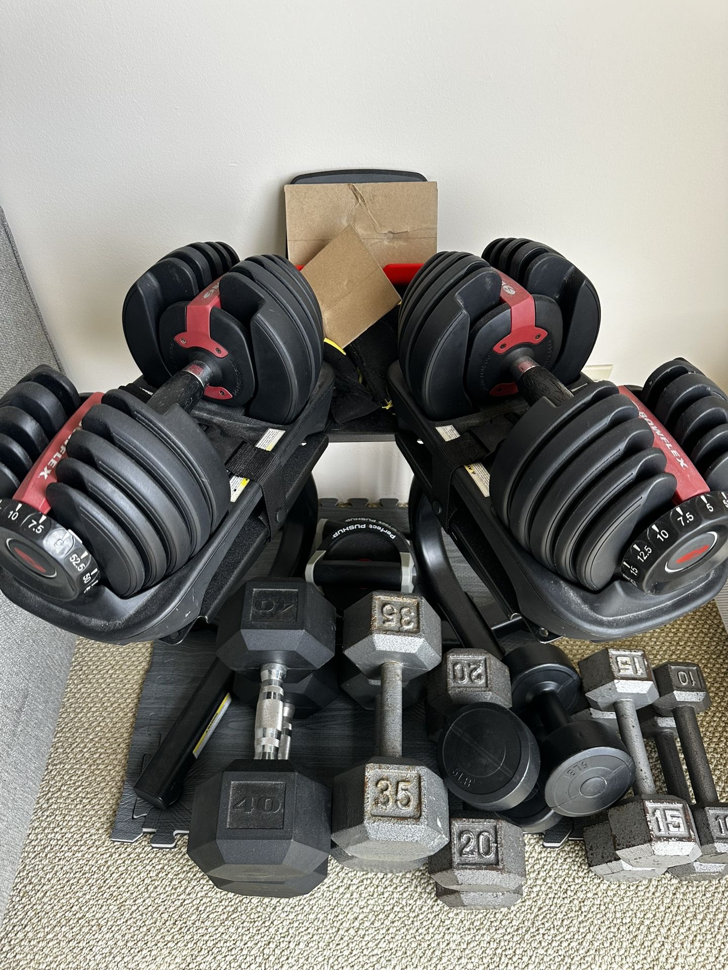 Bowflex Dumbbells With Stand, Weights