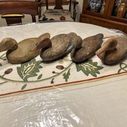 Antique Decoy Ducks