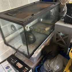 42 Gallon Terrarium