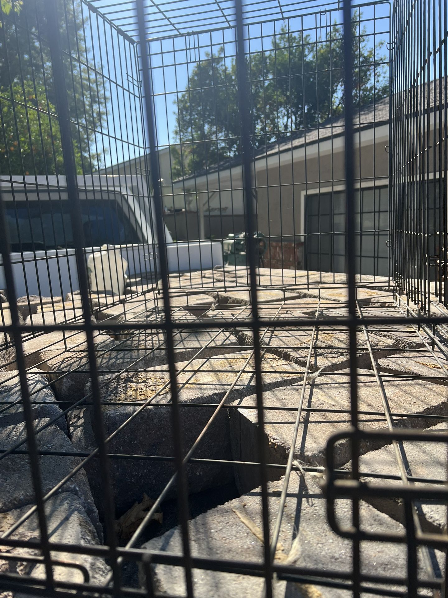 Large Dog Animal Metal Crate