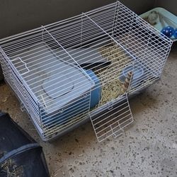 Guinea Pig cage