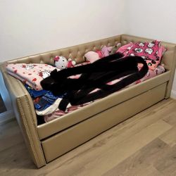 Twin Day Bed No Mattress 