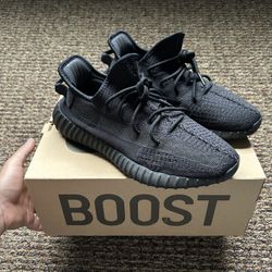 Black Onyx Yeezys 