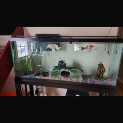 55 Gallon Fish Tank And Stand