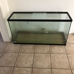 Fish Tank With Gold Fish 