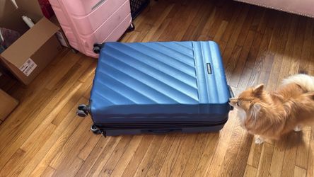 Free suitcase