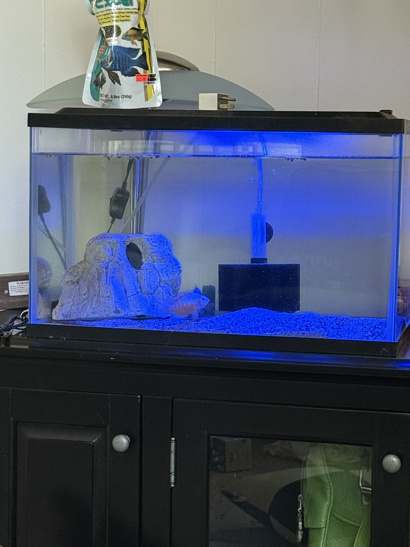 Fish Aquarium And Supplies