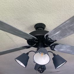 Hunter ceiling fan