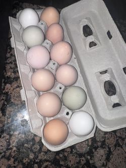 Organic Eggs
