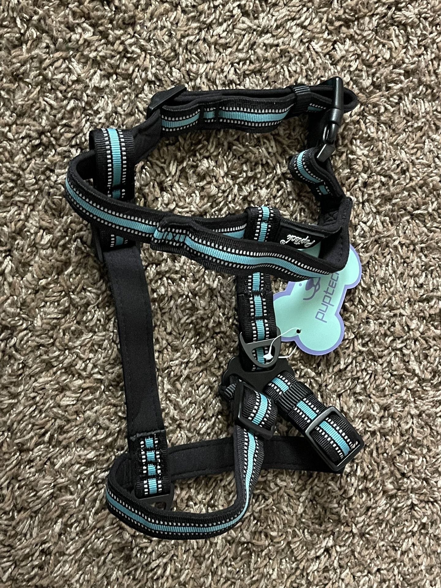 Small dog harness with adjustable straps