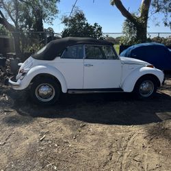 71 Volkswagen Bug