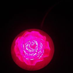 Magenta Colored Rose Decor Light