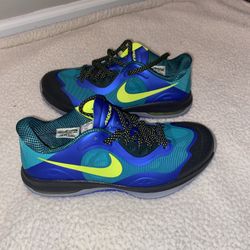 Nike Air Max Ham Low Size 10.5