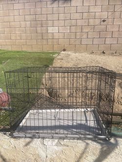 Cage