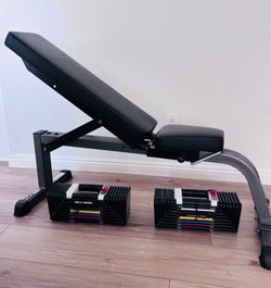 PowerBlock Adjustable Dumbbells / Incline Bench