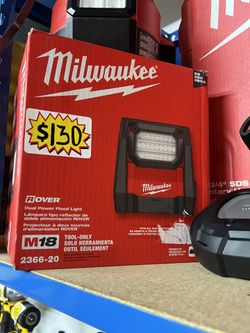 Dual Power Flood Light