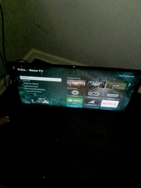 40inc Roku TCL Tv