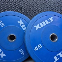 45lbs Bumper Weights