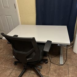 Ergonomics - Element sit to stand desk