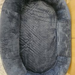 $100, Human Size Dog Bed!