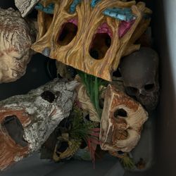 All The Stuff You Need For An Aquarium