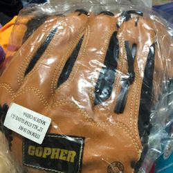 Gopher Baseball Glove 