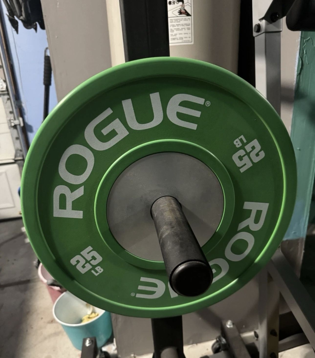 1 Rogue Color Echo Bumper Plate - 25 Ib