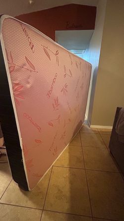 Queen Mattress