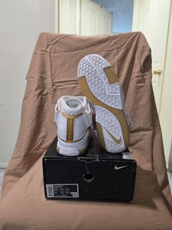 Nike Zoom Lebron