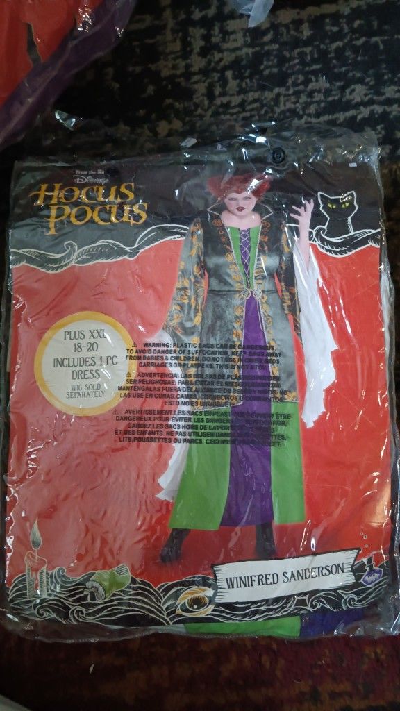 All 3 Sanderson Sisters Halloween Costumes 