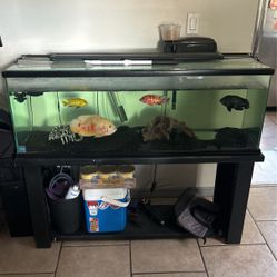 55 Gallon Fish Tank  W/ Accessories 