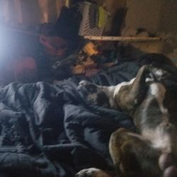 Small Rooms An Sheds