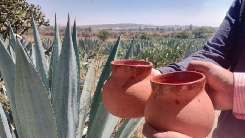 Pulquesito Del Pegador