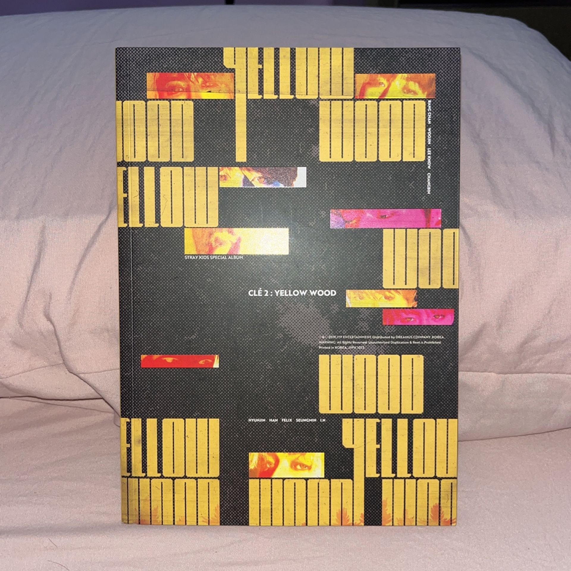 Stray Kids; Cle 2: Yellow Wood
