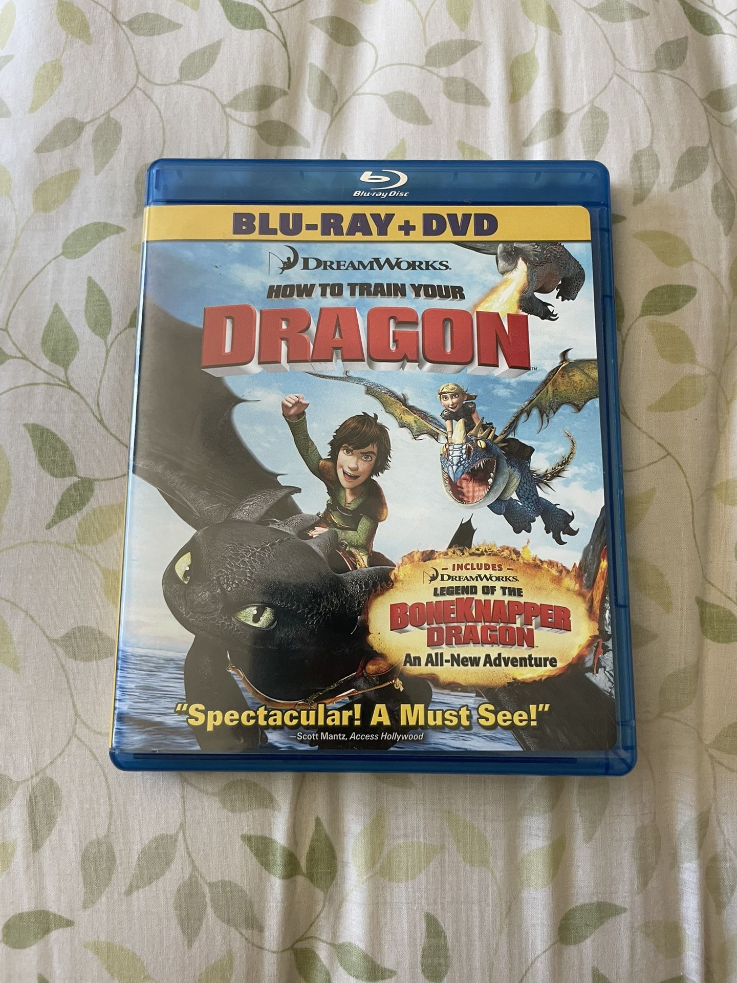 How to Train Your Dragon (Blu-ray)