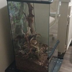 This tank Is Also Made For fish it has a open Door. 