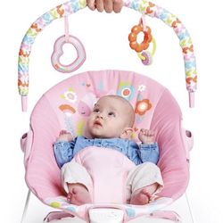 Baby Bouncer