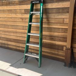 Werner 6 Foot Ladder