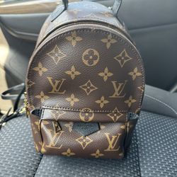 Louis Vuitton Palm Springs Mini