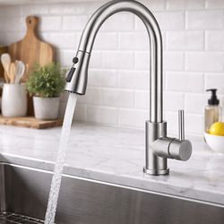 Kitchen Faucet with Pull Down Sprayer