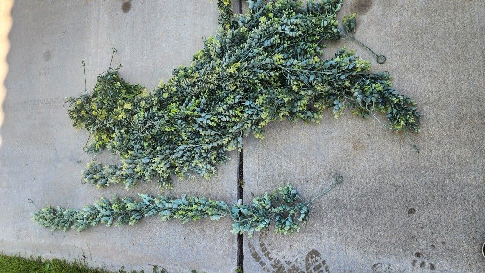 12 Garlands