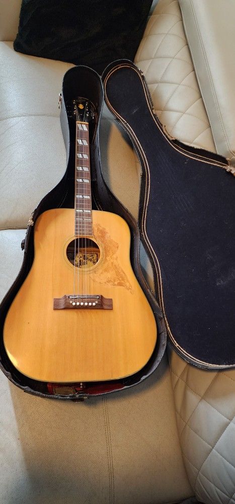 Conqueror acoustic Guitar 