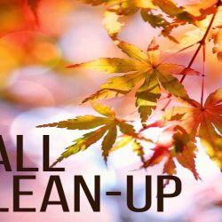 Side Gigs Cleaning Up Yards